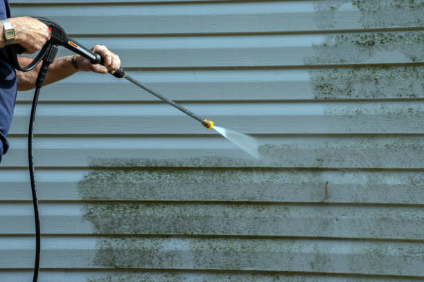 Best Pressure Washing Driveway  in Crestview Hills, KY